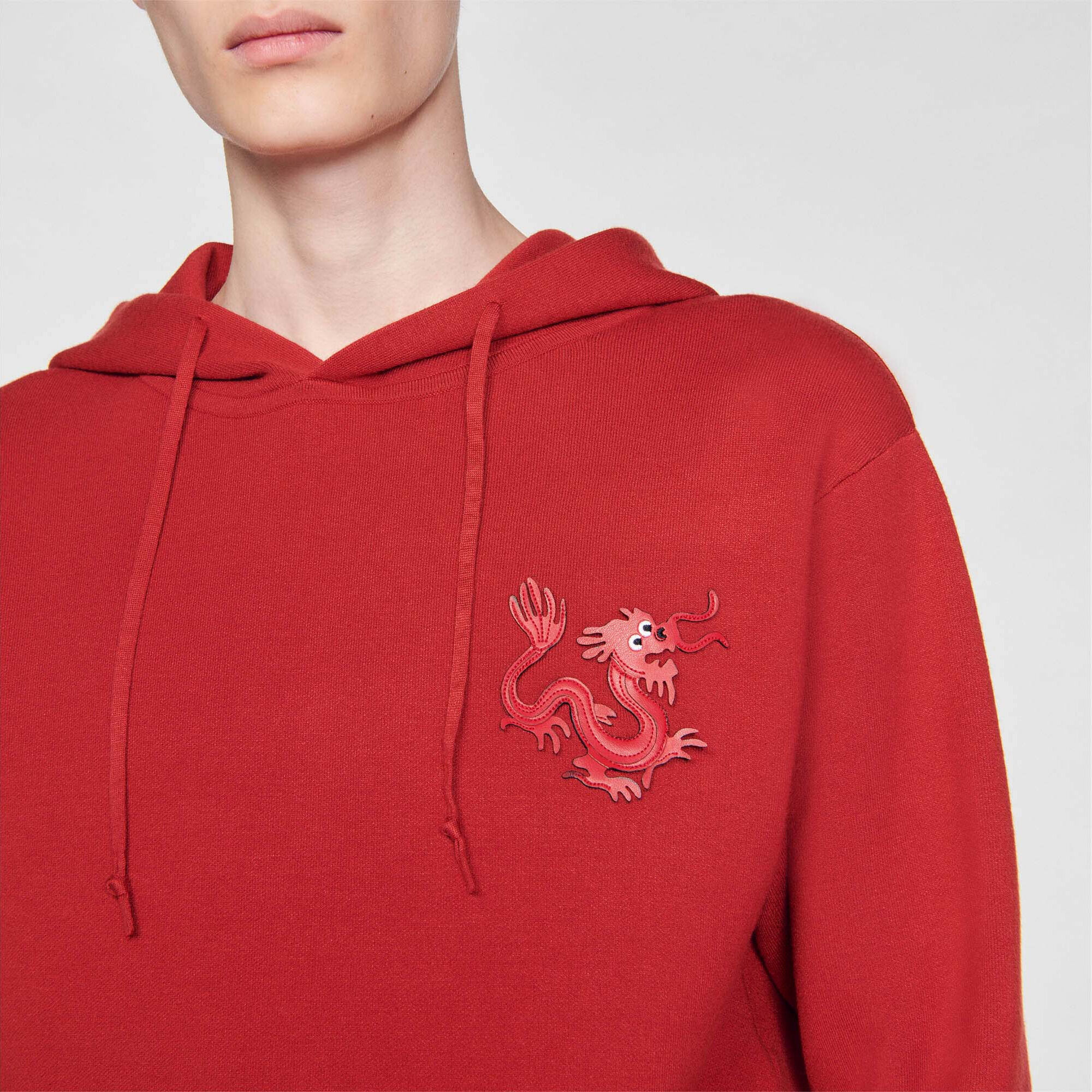 Hoodie mit Drachen